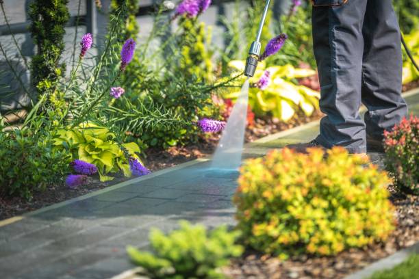 Best Sidewalk and Walkway Cleaning  in Anaheim, CA
